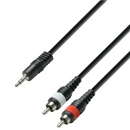 Câble Audio Mini-Jack 3,5 mm stéréo vers 2 x RCA mâle 3 m