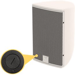Coaxiale 6