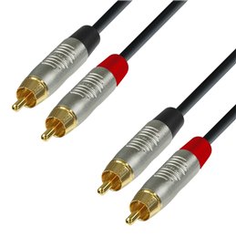 Câble Audio REAN 2 x RCA mâle vers 2 x RCA mâle 0,3 m
