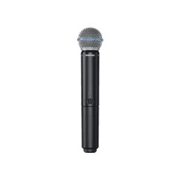 BLX2-BETA58 M17