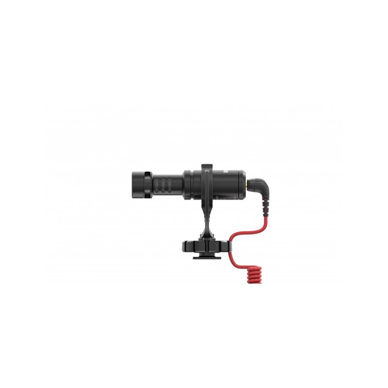 VideoMicro