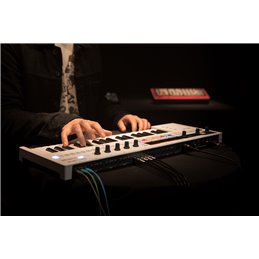 KEYSTEPPRO
