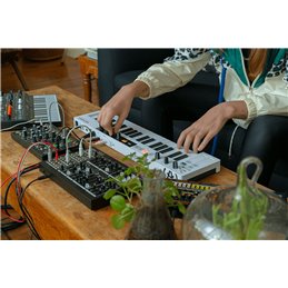 KEYSTEP-37