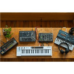 KEYSTEP-37