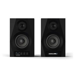 DSM-3 BT