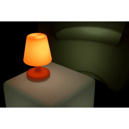 Lampe de table lumineuse