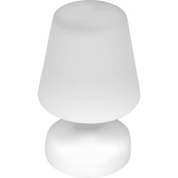 Lampe de table lumineuse