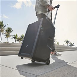 LD Systems ANNY 10 BPH B6 LD Systems ANNY 10 BPH B6